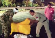 Screenshot 2024 10 26 11 14 38 194 com.whatsapp