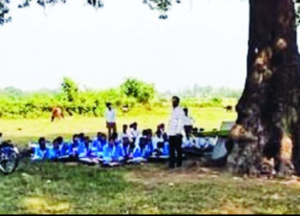 Screenshot 20241024 123510 WhatsApp2