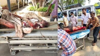 जबलपुर की आयुध निर्माणी खमरिया में भीषण हादसा... बिल्डिंग नंबर 200 में ब्लास्ट, 13 घायलों में 3 गंभीर 7 इजरायल की बमबारी से 10 1