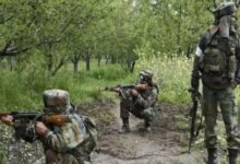 गांव में न चूल्हे जले न आंसू रुके 13