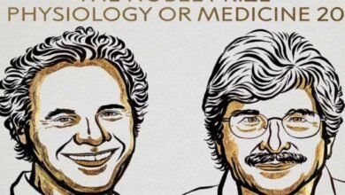 दो अमेरिकी वैज्ञानिकों को चिकित्सा क्षेत्र का 2024 का नोबेल पुरस्कार 9 गांव में न चूल्हे जले न आंसू रुके 35