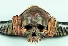 गांव में न चूल्हे जले न आंसू रुके 54