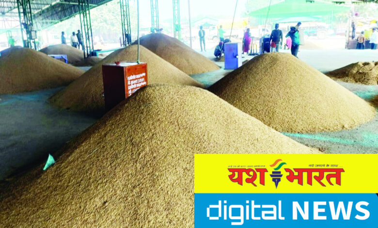 दूसरे प्रदेशों से कटनी लाकर किया जा रहा धान का स्टाक, उपार्जन शुरू होने के बाद केन्द्रों में बेचने की तैयारी, जिले की सीमाओं पर चल रहा खेल 1 IMG 20241119 132820