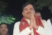 Screenshot 2024 11 01 10 33 01 294 com.miui .gallery