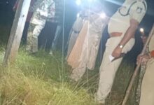 Screenshot 2024 11 01 16 19 04 615 com.miui .gallery