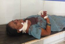 Screenshot 2024 11 04 10 39 17 855 com.whatsapp