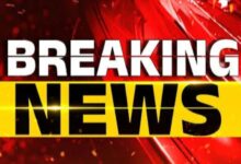 Screenshot 2024 11 04 14 58 47 950 com.miui .gallery 2