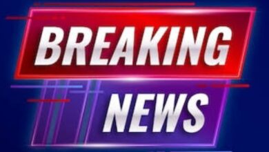 Screenshot 2024 11 04 14 58 56 326 com.miui .gallery 1