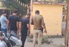 Screenshot 2024 11 07 11 40 41 655 com.miui .gallery