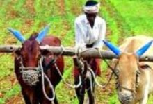 Screenshot 2024 11 08 11 53 12 599 com.android.chrome