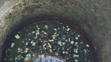 Screenshot 2024 11 08 13 26 20 682 com.whatsapp