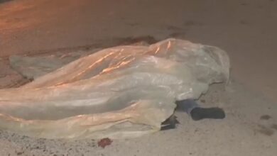 Screenshot 2024 11 10 09 31 21 863 com.miui .gallery