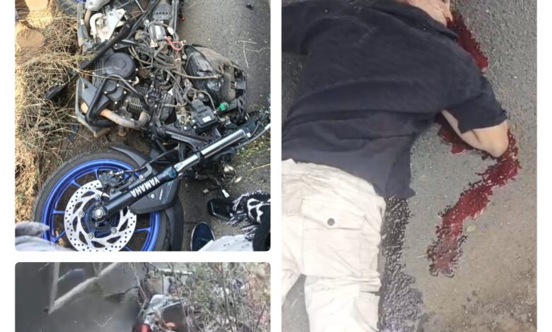 Screenshot 2024 11 10 18 52 42 108 com.miui .gallery