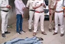 Screenshot 2024 11 12 09 12 10 792 com.miui .gallery