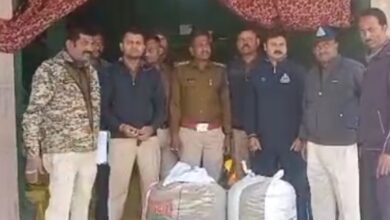 Screenshot 2024 11 13 14 37 27 790 com.miui .gallery