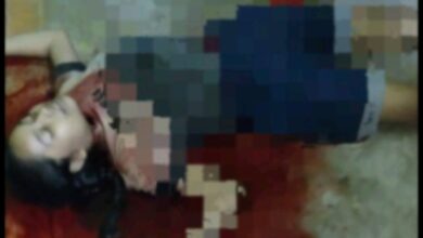 Screenshot 2024 11 17 12 10 28 242 com.miui .gallery