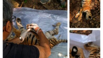 Screenshot 2024 11 17 22 07 25 249 com.miui .gallery