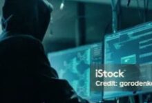 Screenshot 2024 11 17 22 21 35 699 com.whatsapp