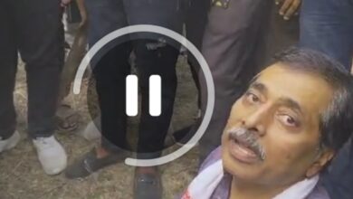 Screenshot 2024 11 20 14 45 05 292 com.miui .gallery