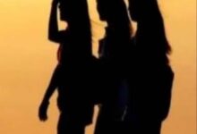 Screenshot 2024 11 20 19 49 04 206 com.miui .gallery