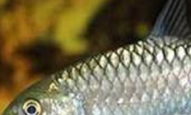 Screenshot 2024 11 21 09 49 44 611 com.whatsapp