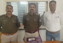 Screenshot 2024 11 21 11 46 25 948 com.whatsapp