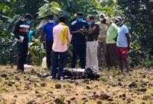 Screenshot 2024 11 21 16 21 21 841 com.whatsapp