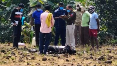 Screenshot 2024 11 21 16 21 21 841 com.whatsapp