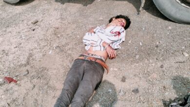 Screenshot 2024 11 22 15 43 19 930 com.whatsapp