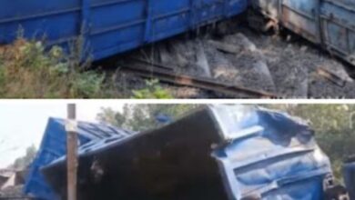 Screenshot 2024 11 26 17 49 47 730 com.whatsapp