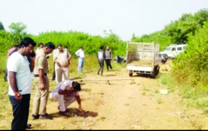 Screenshot 20241102 181249 WhatsApp2