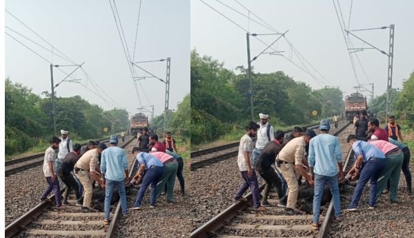 मृत भैंस ने रुकवाई ट्रेन 27 मिनट खड़ी रही मौके पर 1 इजरायल की बमबारी से 40