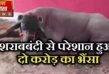 उत्तर प्रदेश से बिहार आया 2 करोड़ का भैंसा नीतीश कुमार की 'शराबबंदी' से है परेशान; तीन दिन में फीकी पड़ी चमक 15 इजरायल की बमबारी से 93