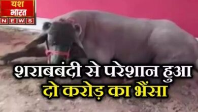 इजरायल की बमबारी से 93