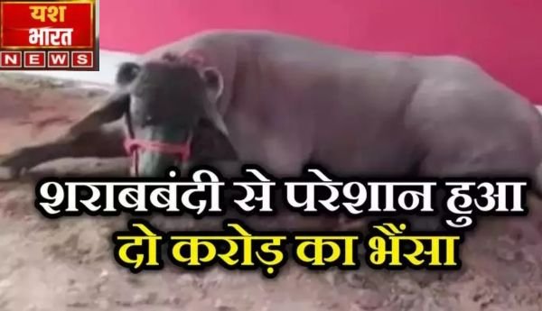 इजरायल की बमबारी से 93