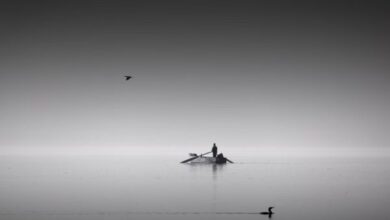 इजरायल की बमबारी से61