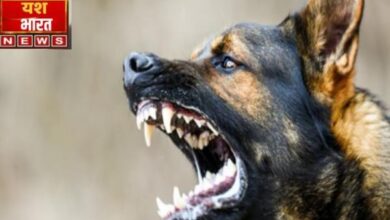 इजरायल की बमबारी से79