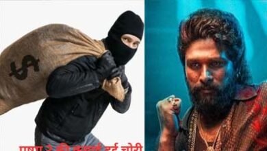 पुष्पा 2 की स्क्रीनिंग में 'गुंडाराज, सिनेमा हॉल पर हमला कर कमाई ले उड़े लुटेरे 9 12