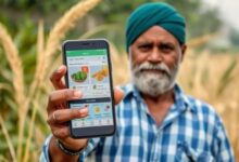 नए साल में नई व्यवस्था: MP में 1 जनवरी से E-ऑफिस और E-मंडी व्यवस्था होगी शुरू, जानिए क्या होंगे फायदे 10 Add a heading 2024 12 28T014007.735