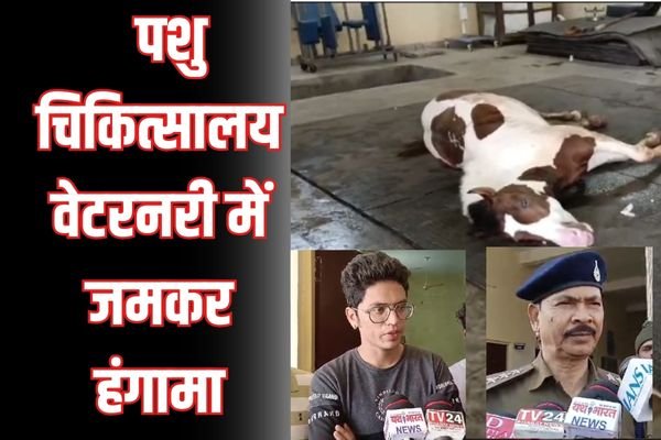 वेटरनरी पशु चिकित्सालय में घोड़े की मौत, मालिक ने कहा एनेस्थीसिया के ज्यादा डोज से गई जान: थाने में शिकायत 1 Add a heading 5 2