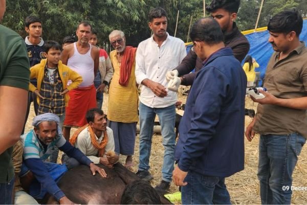 वन्तारा: 400 पशुओं को आजीवन देखभाल प्रदान करेगा: सशस्त्र सीमा बल और बिहार सरकार ने अवैध पशु बलि से बचाया था 1 Add a heading 72
