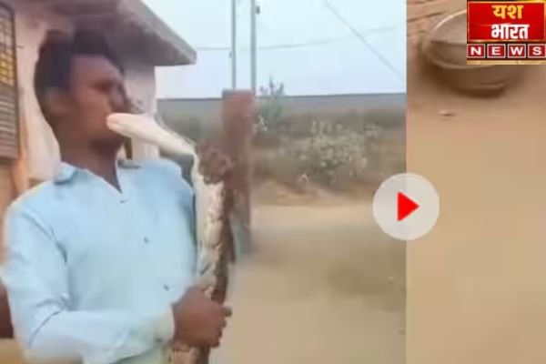 अजगर को किस कर रहा था शख्स, अचानक मुंह पर हमला कर नोचा मांस, वीडियो देख कांप जाएगी आत्मा 1 Add a heading 96
