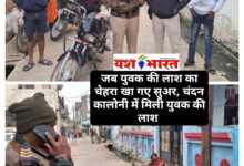 InShot 20241201 085158187