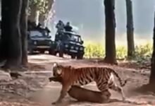 Screenshot 2024 12 04 09 16 22 368 com.whatsapp