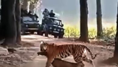 Screenshot 2024 12 04 09 16 22 368 com.whatsapp