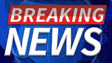 Screenshot 2024 12 04 15 40 39 340 com.miui .gallery