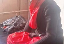 Screenshot 2024 12 09 15 24 15 264 com.whatsapp