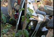 Screenshot 2024 12 09 16 26 03 140 com.whatsapp