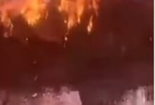 Screenshot 2024 12 16 00 12 48 14 6012fa4d4ddec268fc5c7112cbb265e7