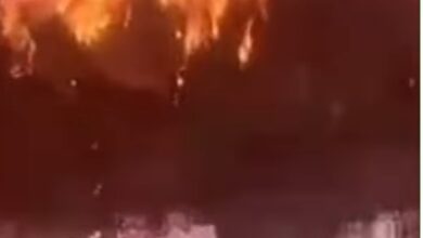 Screenshot 2024 12 16 00 12 48 14 6012fa4d4ddec268fc5c7112cbb265e7